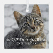 Funny MEOWY CHRISTMAS Cat Photo Glas Ornament (Achterkant)