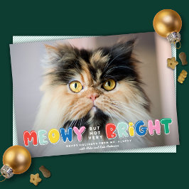 Funny Meowy, maar niet erg heldere kat foto Feestdagenkaart