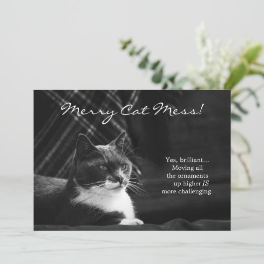 Funny Merry Cat Mess Kerstmis Feestdagenkaart (Staand voorkant)
