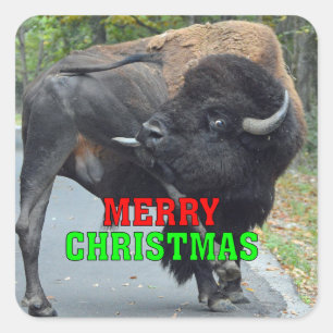 Funny Merry kerstbull met giftestikels Vierkante Sticker
