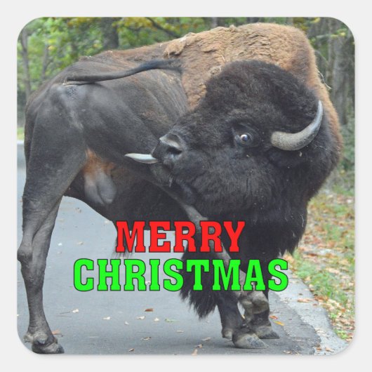 Funny Merry kerstbull met giftestikels Vierkante Sticker (Voorkant)