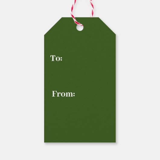 Funny Merry kerstcompracy Theory Gift Labels Cadeaulabel (Achterkant)