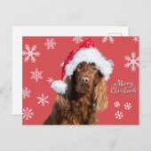 Funny Merry Kersthond op het Pet van Santa Feestdagenkaart (Voorkant / Achterkant)