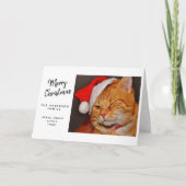 Funny Merry Kerstmis Oranje Cat met Santa Hat Feestdagen Kaart (Voorkant)