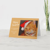 Funny Merry Kerstmis Oranje Cat met Santa Hat Feestdagen Kaart (Voorkant)