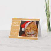 Funny Merry Kerstmis Oranje Cat met Santa Hat Feestdagen Kaart (Voorkant)