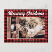 Funny Merry Kerstrozwarte foto Feestdagenkaart (Voorkant)