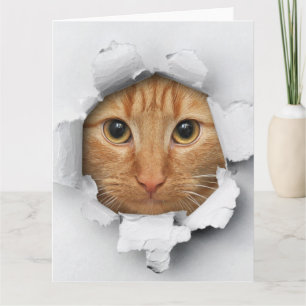 Funny Mischievous Cute Ginger Cat Kaart