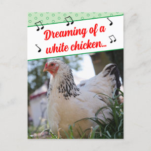 Funny Mishear Song Lyrics White Chickens Foto Feestdagenkaart