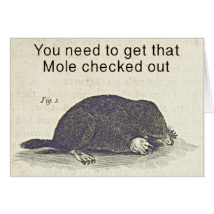 Funny Mole Greetings Card, Animal Birthday Humor