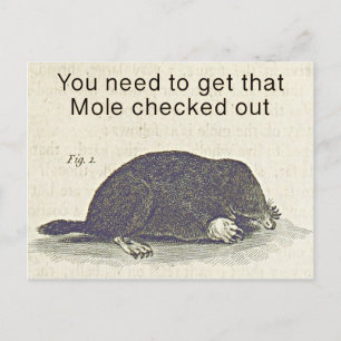Funny Mole Greetings Card, Animal Birthday Humor Briefkaart
