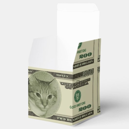 Funny Money Bedankdoosjes (Geopend)