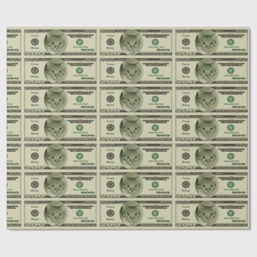 Funny Money Cadeaupapier (Vlak)