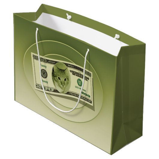 Funny Money Groot Cadeauzakje (Achterkant Gekanteld)