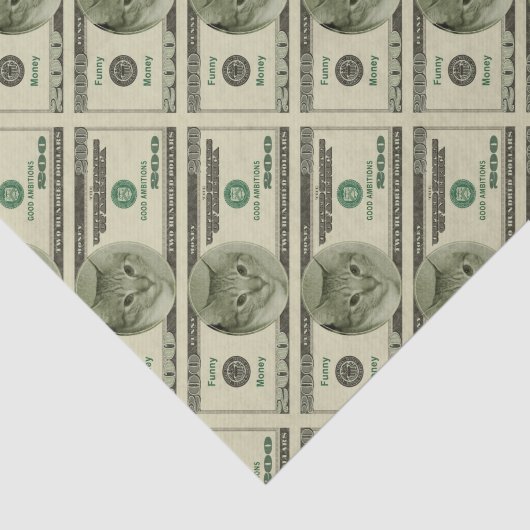 Funny Money Tissuepapier (Detail)