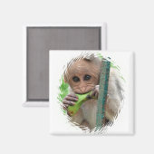 Funny Monkey Afbeelding Magnet (Voorkant / Achterkant)
