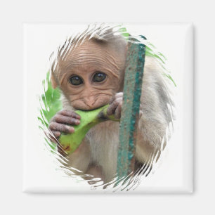 Funny Monkey Afbeelding Magnet