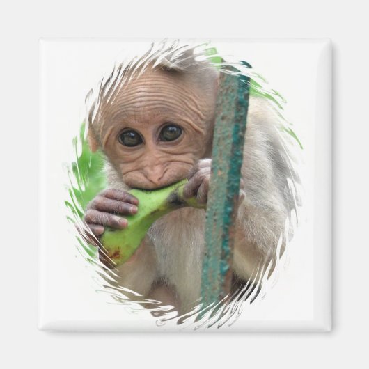Funny Monkey Afbeelding Magnet (Voorkant)