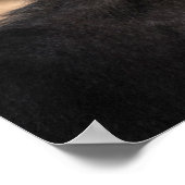 Funny Monkey Ape Chimp-leden met grappige verhalen Poster (Hoek)