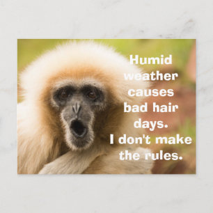 Funny Monkey Bad Hair Day Briefkaart