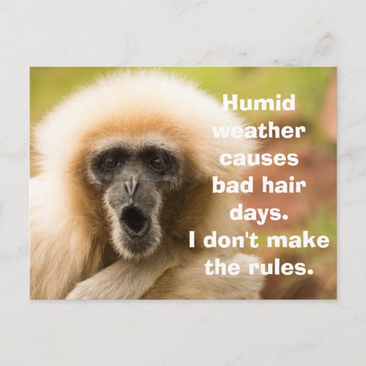 Funny Monkey Bad Hair Day Briefkaart (Voorkant)