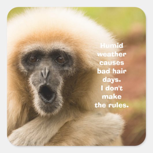 Funny Monkey Bad Hair Day Vierkante Sticker (Voorkant)