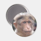 Funny Monkey Magnet (Voorkant / Achterkant)