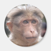 Funny Monkey Magnet (Voorkant)
