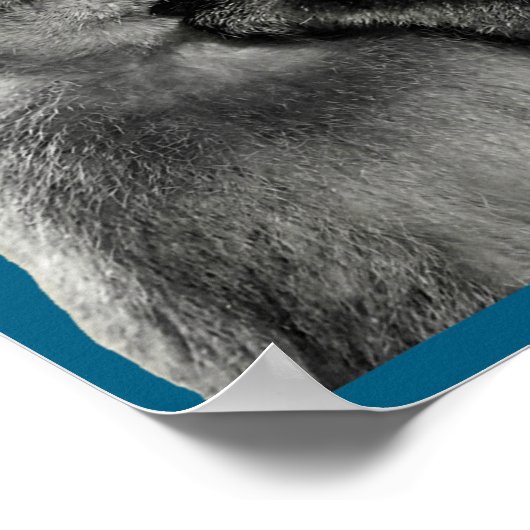 Funny Monkey Meme With Retro Odore Humor Art Style Poster (Hoek)