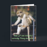 Funny Monkey verjaardag Kaart<br><div class="desc">Happy Birthday van een grappige aap die denkt aan de relevantie van de specifieke dag terwijl hij op een hek zit.</div>
