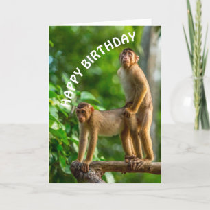 Funny Monkeys Happy Birthday Dirty Mind Card Feestdagen Kaart
