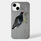 Funny Moorhen neemt een boot Case-Mate iPhone Case (Achterkant)