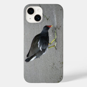 Funny Moorhen neemt een boot Case-Mate iPhone Case