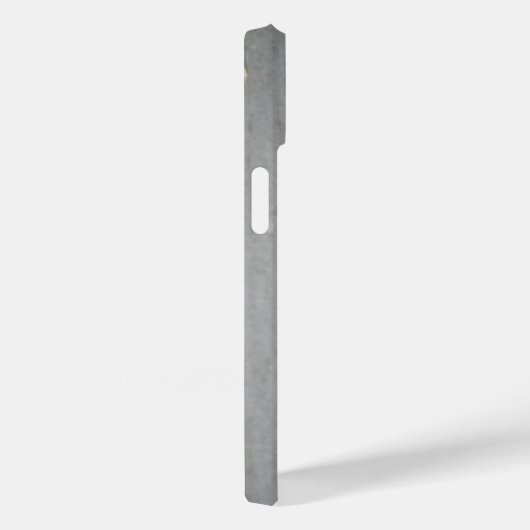 Funny Moorhen neemt een boot Case-Mate iPhone Case (Achterkant / Rechts)