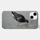 Funny Moorhen neemt een boot Case-Mate iPhone Case (Achterkant (horizontaal))
