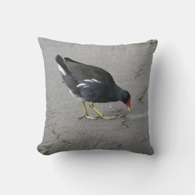 Funny Moorhen neemt een bui Kussen (Voorkant)