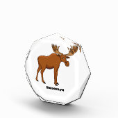 Funny moose cartoon illustratie fotoblokken (Rechts)