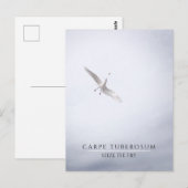 Funny Motivatie Seagull Carpe Diem French Fries Briefkaart (Voorkant / Achterkant)