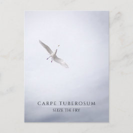 Funny Motivatie Seagull Carpe Diem French Fries Briefkaart