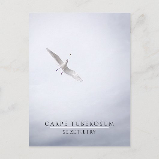 Funny Motivatie Seagull Carpe Diem French Fries Briefkaart (Voorkant)