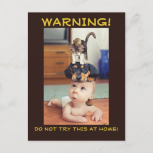 FUNNY: Muis en kat en hond gestapeld op Baby - Aankondigingskaart