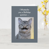 Funny Mustache Vraag Birthday Cat Kaart (Gele Bloem)