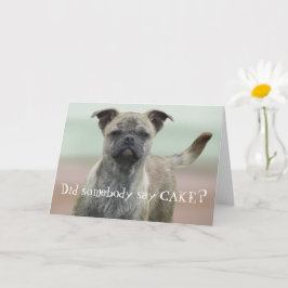 Funny Mutt Mixed Breed Dog Foto Happy Birthday Kaart