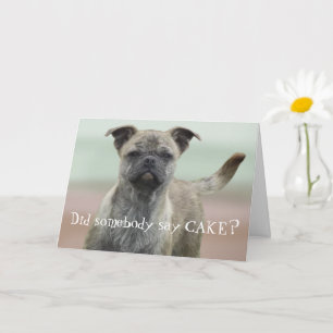 Funny Mutt Mixed Breed Dog Foto Happy Birthday Kaart