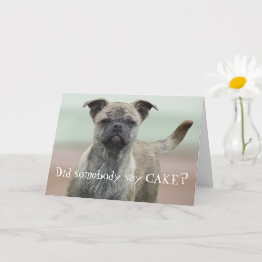 Funny Mutt Mixed Breed Dog Foto Happy Birthday Kaart (Kleine Plant)