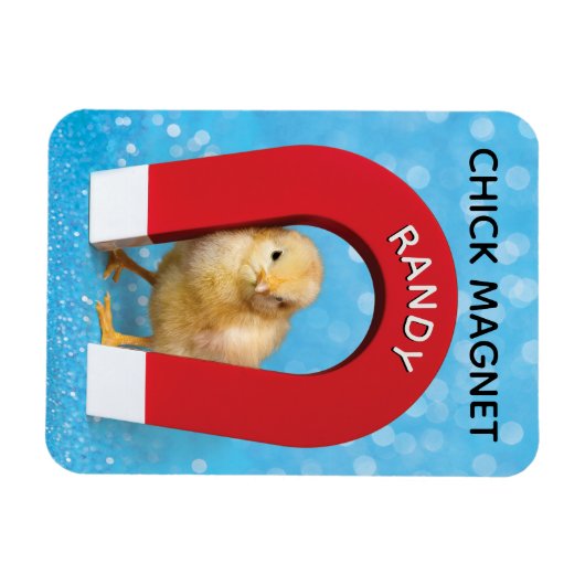 Funny Name Chick Magnet Magneet (Horizontaal)
