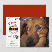 Funny Naughty Dog Foto DEAR SANTA THE CAT DEIT IT Feestdagenkaart (Voorkant / Achterkant)