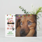 Funny Naughty Dog Foto DEAR SANTA THE CAT DEIT IT Feestdagenkaart (Staand voorkant)