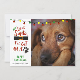 Funny Naughty Dog Foto DEAR SANTA THE CAT DEIT IT Feestdagenkaart
