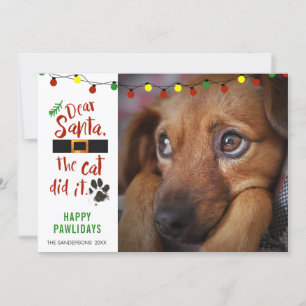 Funny Naughty Dog Foto DEAR SANTA THE CAT DEIT IT Feestdagenkaart